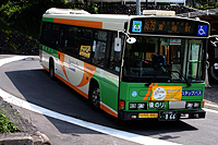 bus