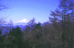 富士山 [Photo] Fujisan @here