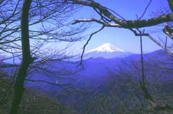 ꂩxmR [Photo] Fujisan @here