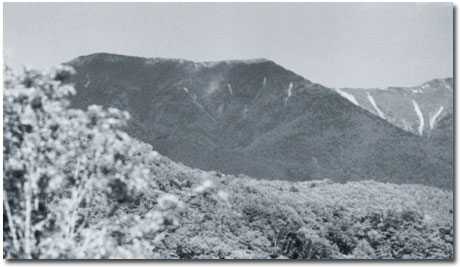 雁坂