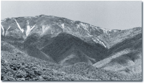 雁坂