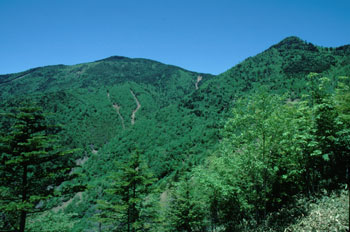 黒金山