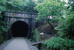 tunnel