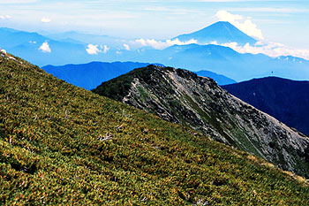 千枚岳と富士