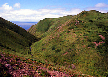 Trail to Rebun waterfall