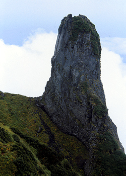 rosoku rock