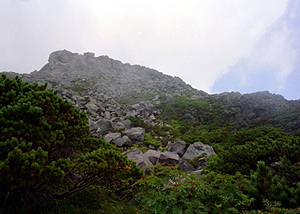 Mt.Rausu dake