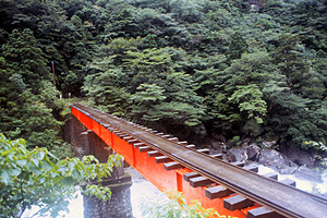bridge for the anbo forest track