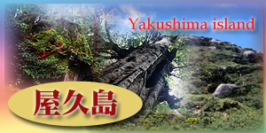 Yakushima