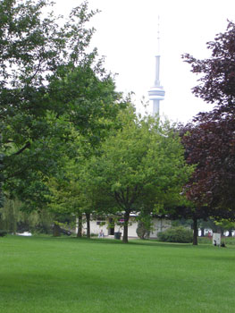 CN tower @ toronto islands