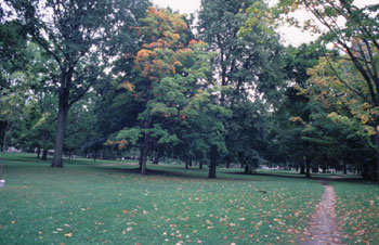 Queen's park